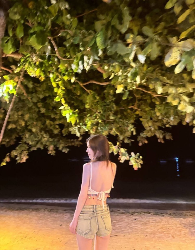 姐姐片多多免费高清电视剧,午夜电影网